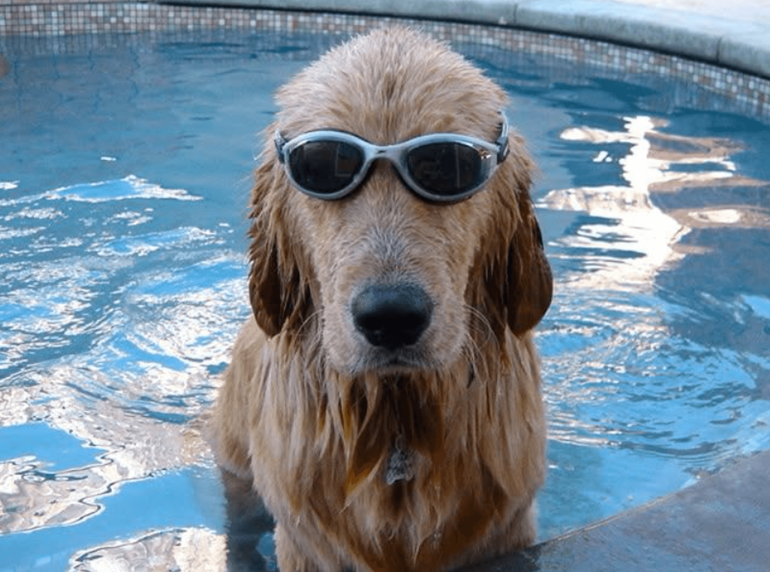 5 Things First-Time Buyers Forget About Mortgages